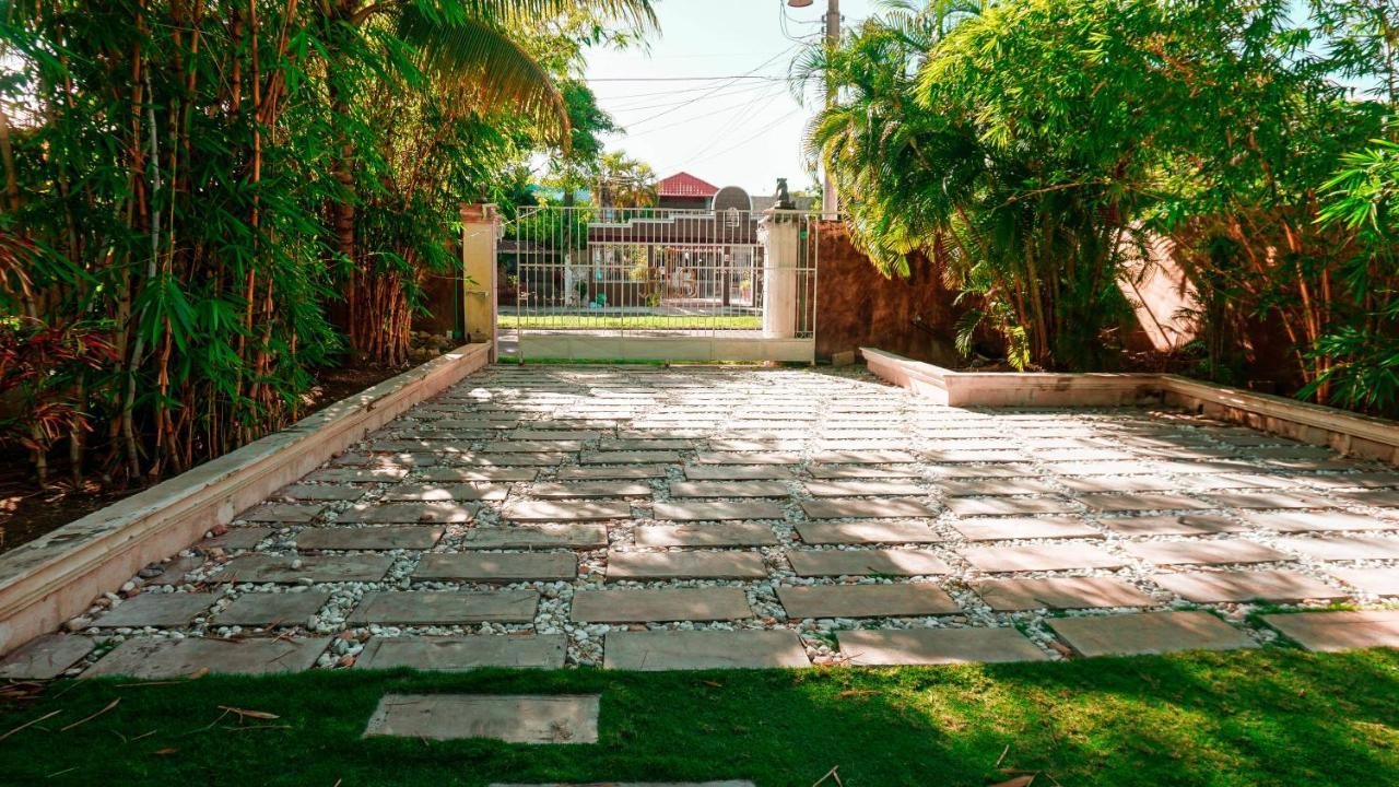 Villa Los Aguiluchos チェトゥマル エクステリア 写真