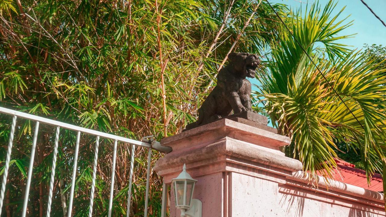 Villa Los Aguiluchos チェトゥマル エクステリア 写真