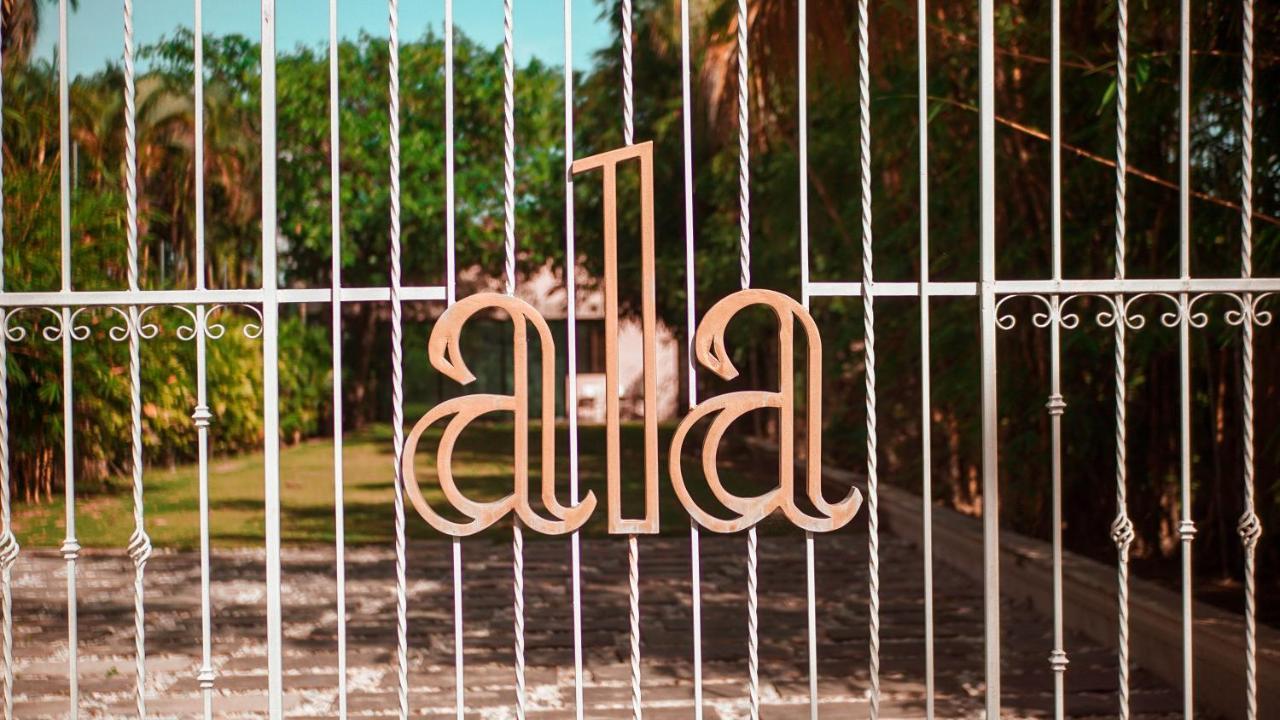 Villa Los Aguiluchos チェトゥマル エクステリア 写真