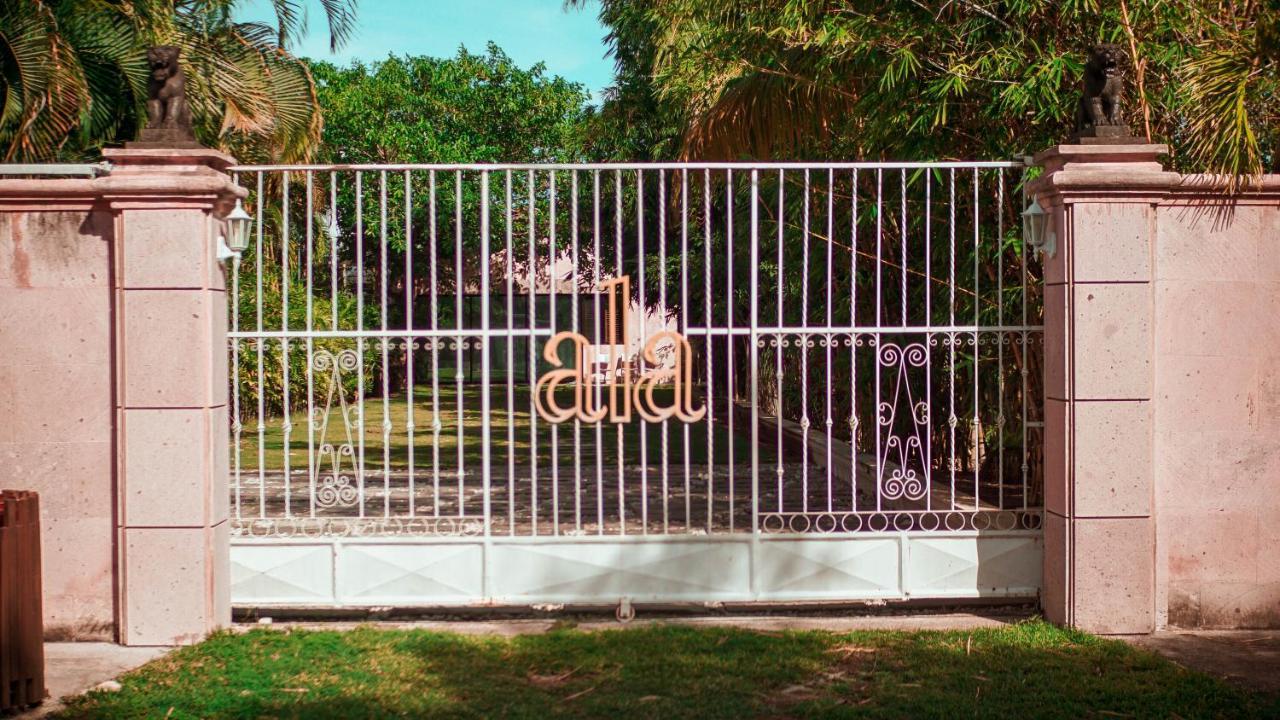 Villa Los Aguiluchos チェトゥマル エクステリア 写真